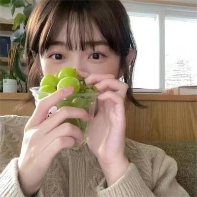 桃花坞开放中第四季